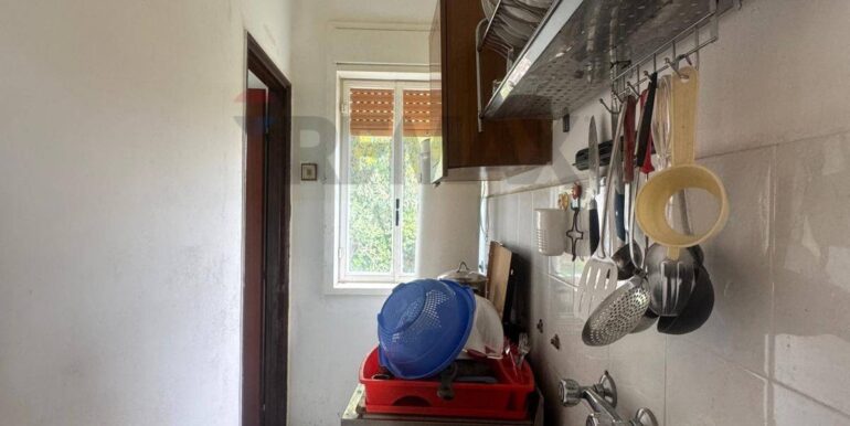 20251111115538-1000087-9