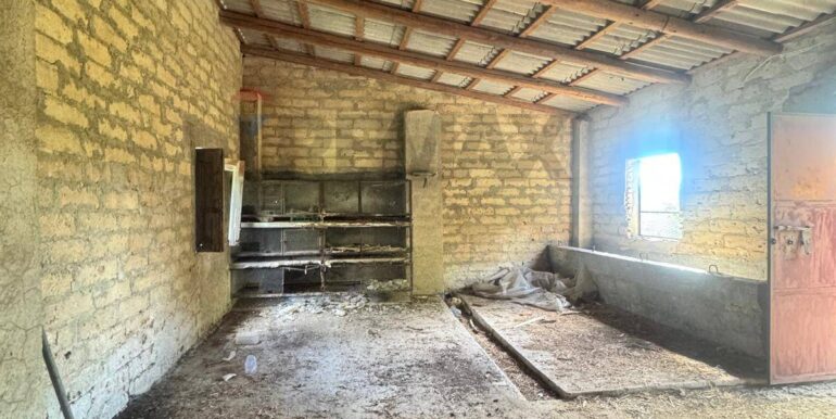 20251111115701-1000087-15