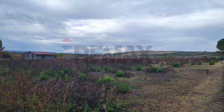 20251111162553-1000182-0