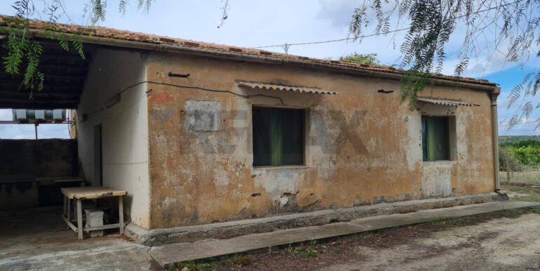 20251111162555-1000182-8