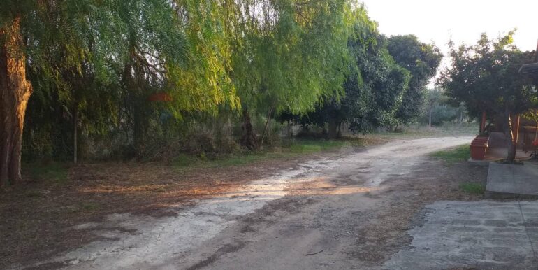 20251111174351-1000222-2