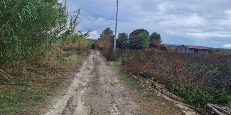 20251111174352-1000222-5