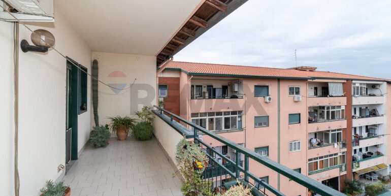 2025111182856-1000033-12