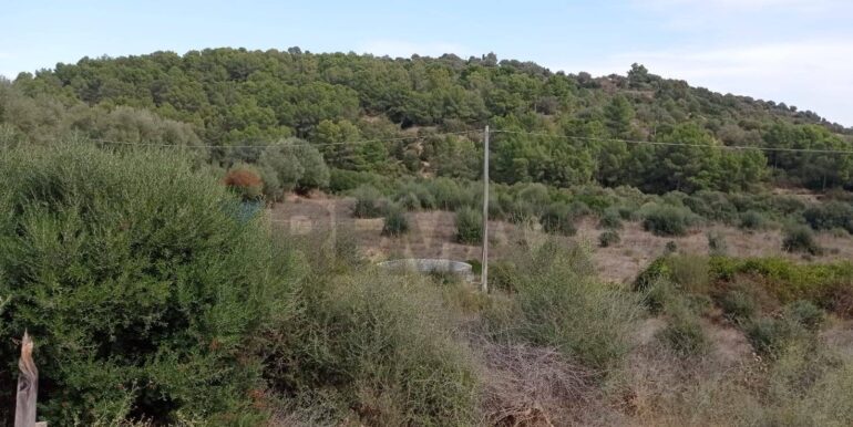 20251113114003-1000542-1