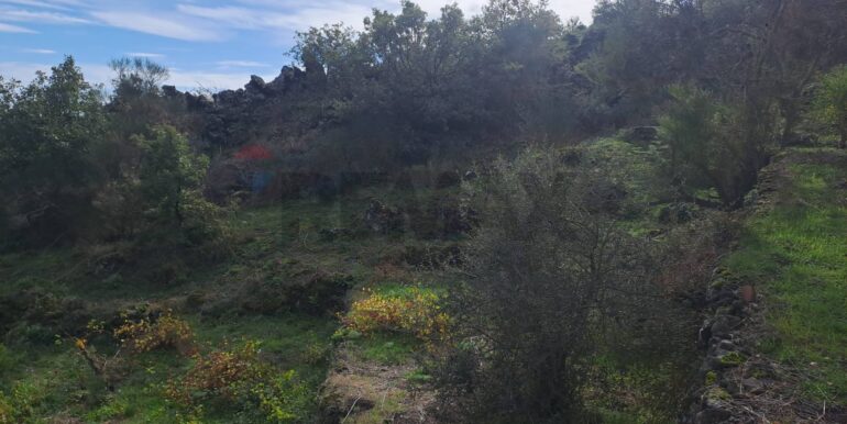 20251113181434-1000664-19