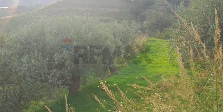 20251113203302-1000681-2