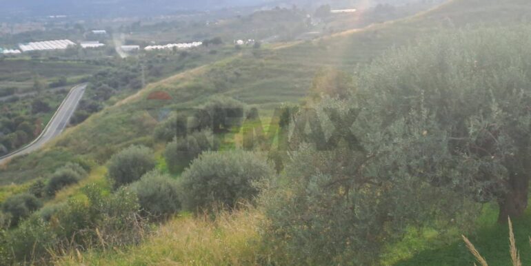 20251113203305-1000681-3