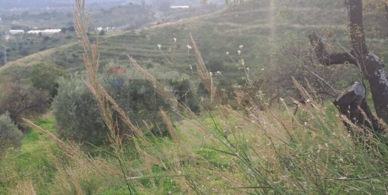 20251113203307-1000681-4