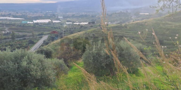 20251113203309-1000681-5