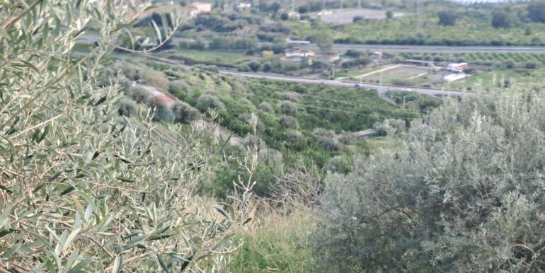 20251113203311-1000681-6