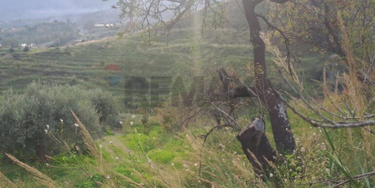 20251113203314-1000681-7