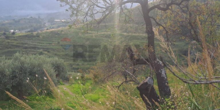 20251113203316-1000681-8