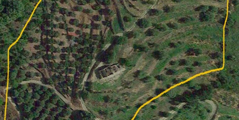 20251113203318-1000681-9