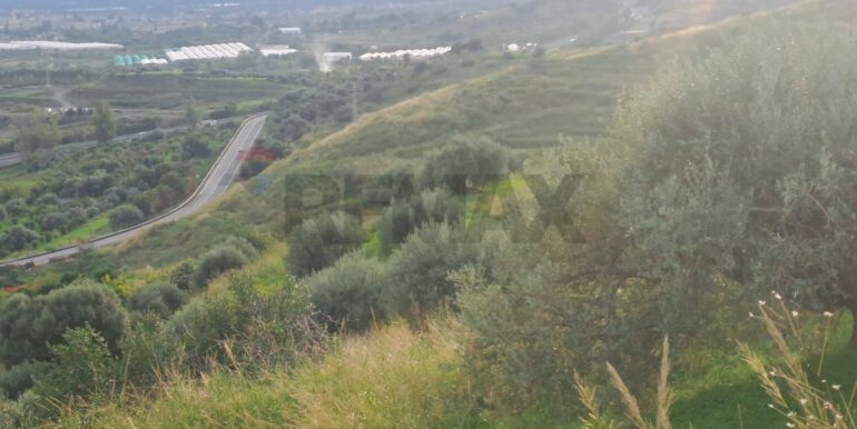 20251113203342-1000681-16