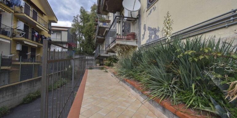 20251114182650-1000866-5