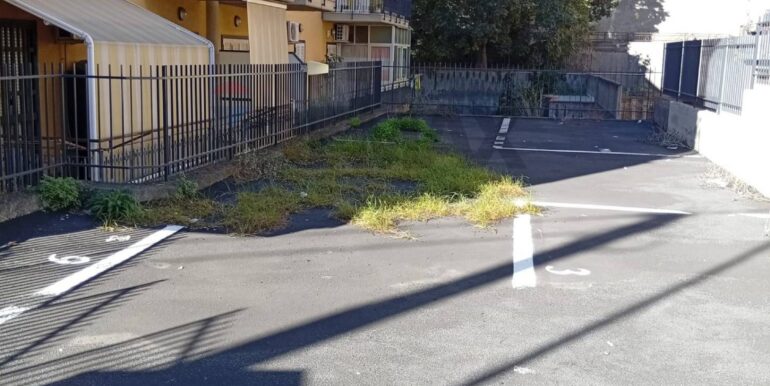 2025111790638-1000441-6