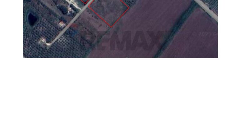 20251119152514-1000222-11