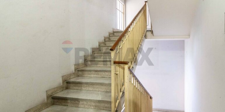 20251119184602-1000947-5