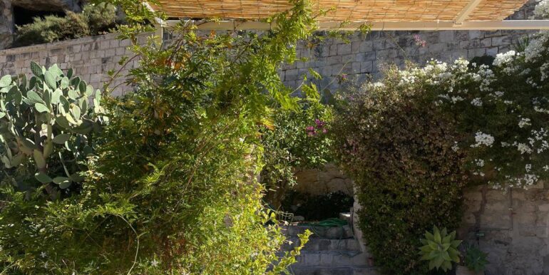 2025111922239-1002152-9