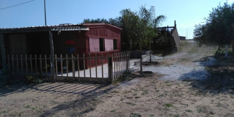 2025111931228-1002153-1