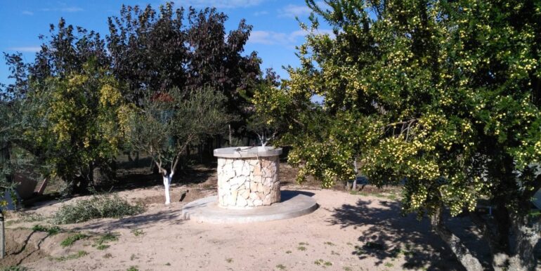 2025111931233-1002153-2