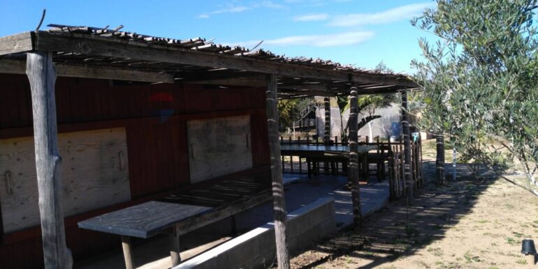 2025111931241-1002153-4