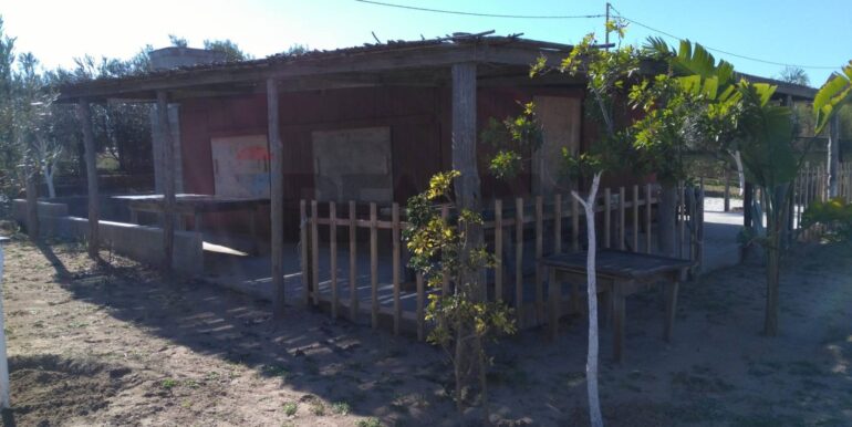 2025111931244-1002153-5