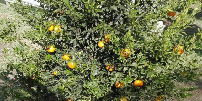 2025111931247-1002153-6