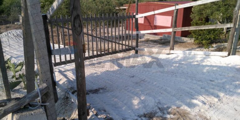 2025111931250-1002153-7