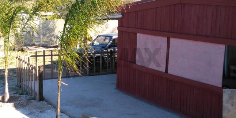 2025111931257-1002153-9