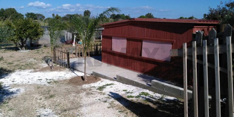 2025111931307-1002153-12