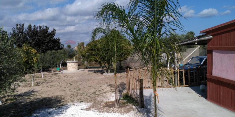 2025111931313-1002153-14