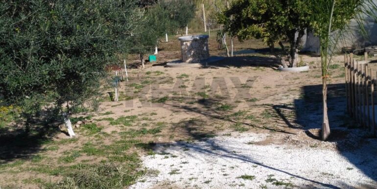 2025111931316-1002153-15