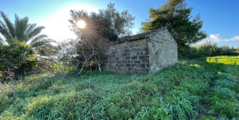 20251120101034-1002213-3