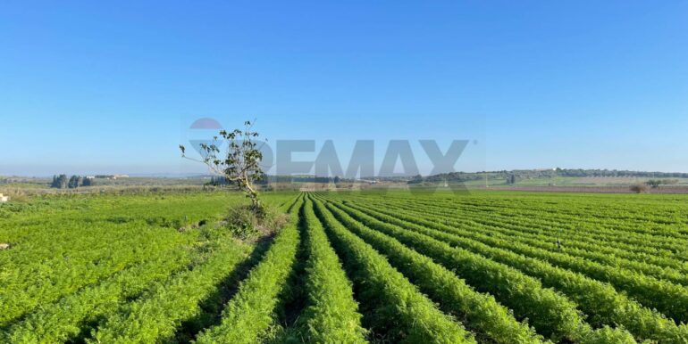 20251120101040-1002213-5