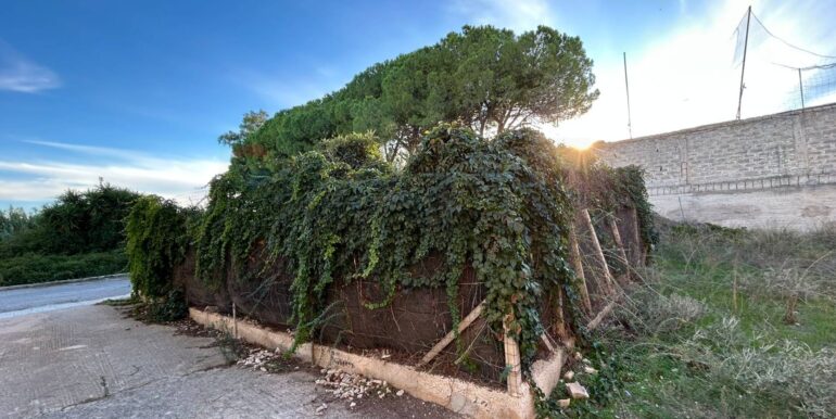 20251120124300-1002410-1