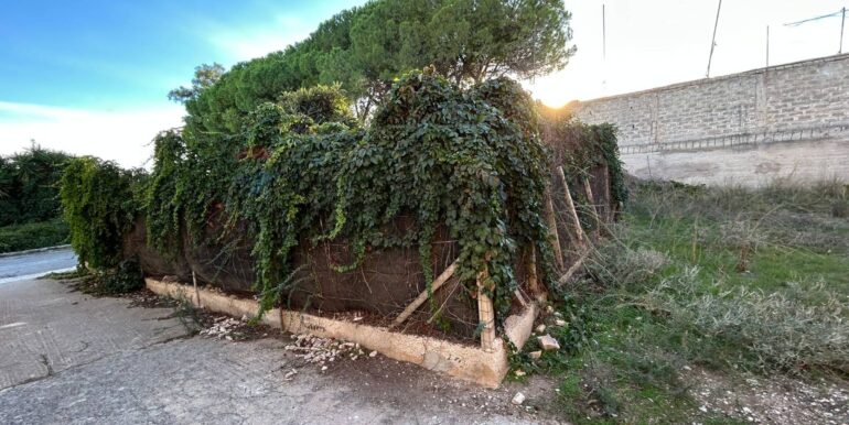 20251120124307-1002410-3