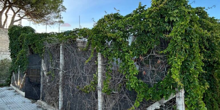 20251120124313-1002410-5