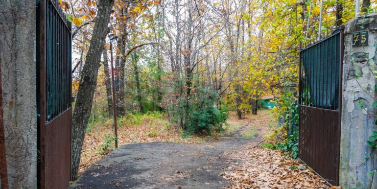 20251120214833-1002552-29