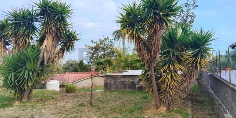 20251122122832-1002346-5