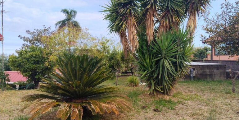 20251122122851-1002346-11