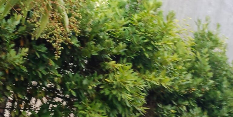 20251122122901-1002346-14