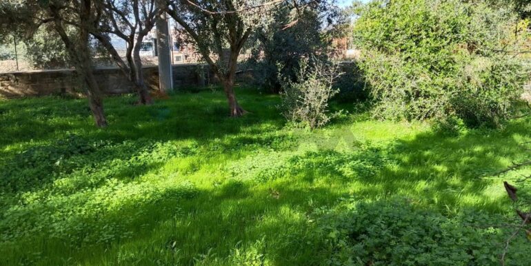 20251122123459-1002563-12