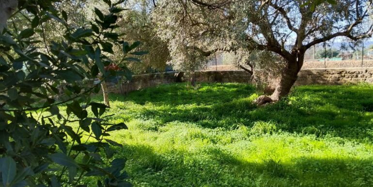 20251122123503-1002563-13