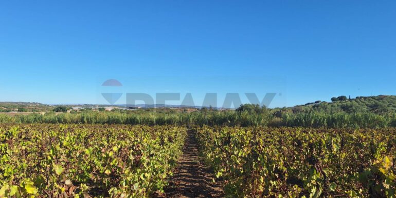 20251124121247-1002983-1