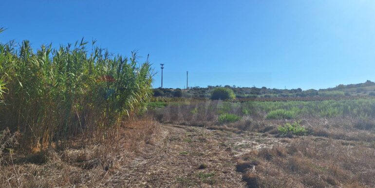 20251124121254-1002983-3