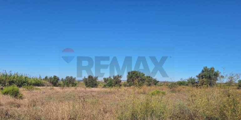 20251124121300-1002983-5