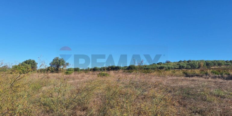 20251124121302-1002983-6