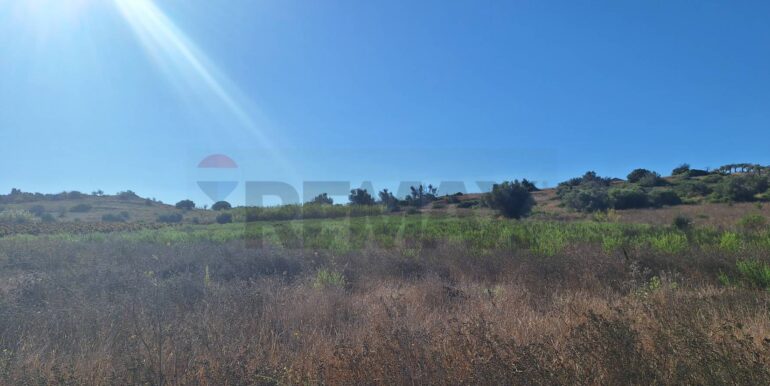 20251124121305-1002983-7