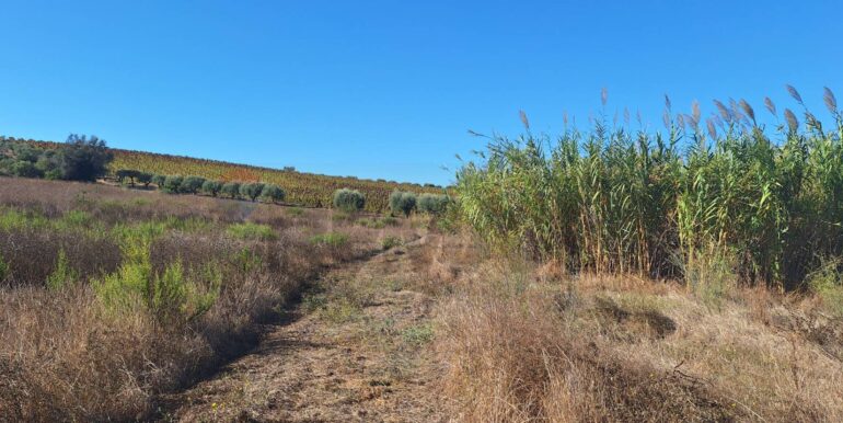 20251124121307-1002983-8